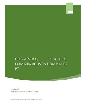 Diagnostico De La Escuela De Practica