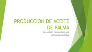 Produccion De Aceite De Palma