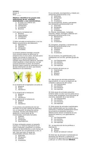 Animales Invertebrados 9