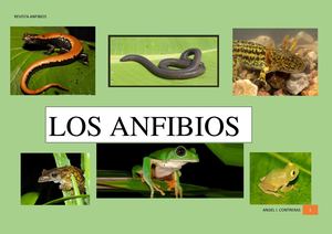 Revista Anfibios