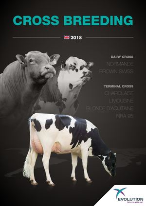 Catalogue 2018 Taureaux Laitiers Croisement En