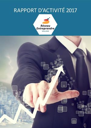 Rapport d'activité 2017