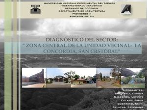 Diagnóstico Unidad Vecinal