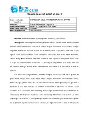 Registro Diario De Campo Cuarta Entrega