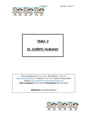 Actividad Partes Del Cuerpo