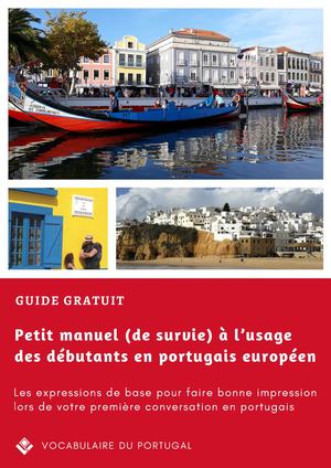Petit manuel (de survie) à l’usage des débutants en portugais européen : Extrait du guide gratuit - Vocabulaire du Portugal