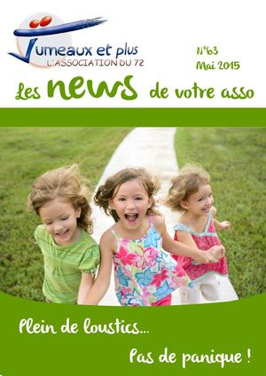 Bulletin Jumeaux Et Plus Sarthe N°63