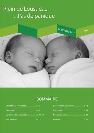 Bulletin Jumeaux Et Plus Sarthe N°66