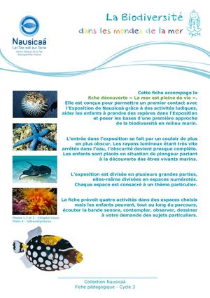 Fiche Pedagogique Biodiversite Dans Les Mondes De La Mer