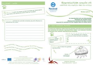 Fiche Decouverte Reproduction Sexuee Et Maintien Des Especes