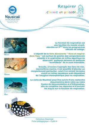 Fiche Pedagogique Respirer Comme Un Poisson