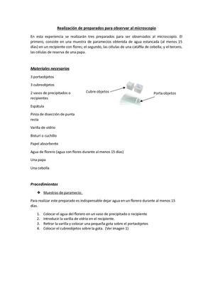Protocolo Preparados Para Observar Al Microscopio