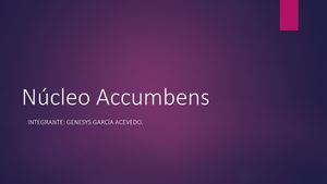 Exposición Núcleo Accumbens 2 0