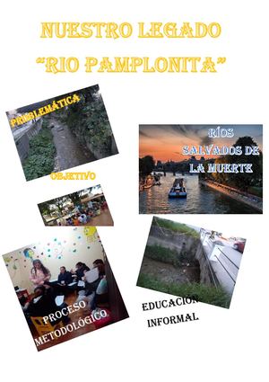 La Contaminación Del Rio Pamplonita En General Es Causada Por Los Mismos Habitantes De La Ciudad