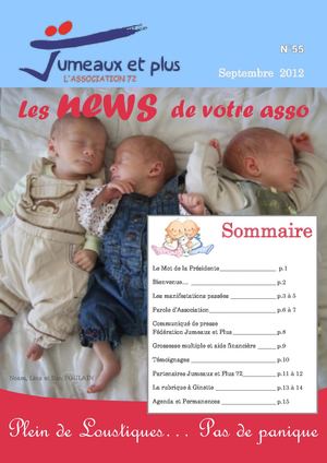 Bulletin Jumeaux Et Plus Sarthe N°55