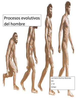La Evolución Humana Xd