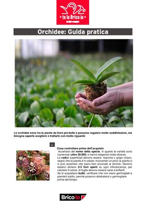 Guida Pratica Orchidee