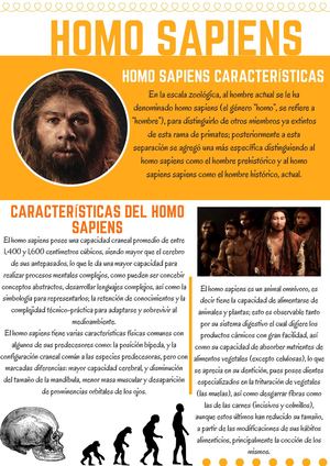 Pre Loved Furniture (7).