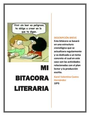 Presentación De La Bitácora