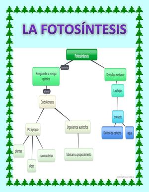 La Fotosíntesis