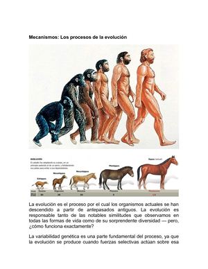 Mecanismos De La Evolución