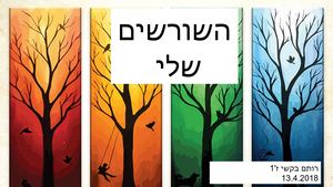 שורשים רותם בקשי