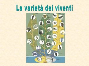 La Varietà Dei Viventi Rossella Pagnotti