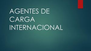 Agentes De Carga Internacional