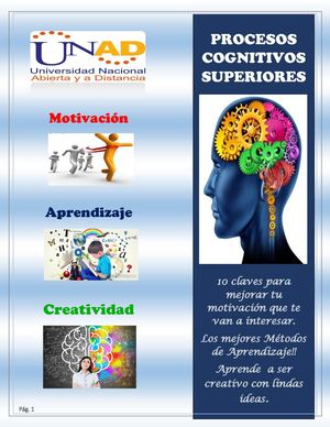 Revista Procesos Cognitivos Superiores (Motivacion, Aprendizaje, Creatividad)