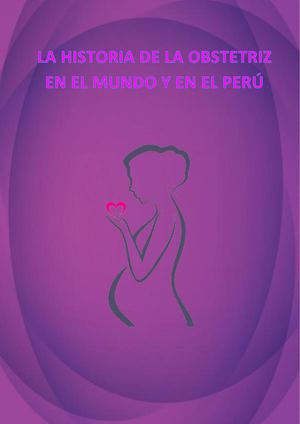 Historia De La Obstetriz