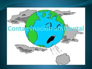 Contaminación Ambiental