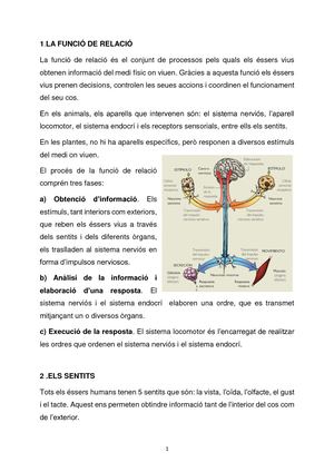 La Funció De Relació