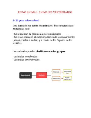 Animales Vertebrados