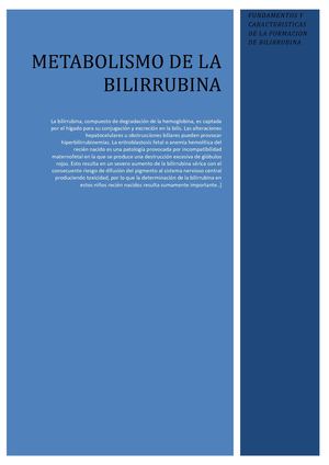 Metabolismo De La Bilirrubina 1
