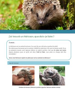 Fiche N°3 - J'ai Trouvé Un Hérisson