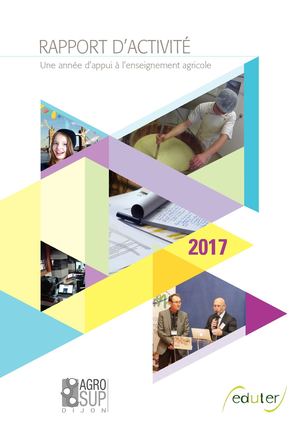 Rapport d'activité 2017