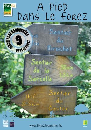 Supplement Randos 9 Circuits De Randonnee Dans Le Forez