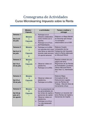 Cronograma De Actividades