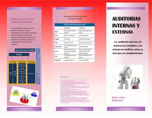 Auditoria Interna Y Externa