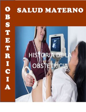 Revista Salud Materna