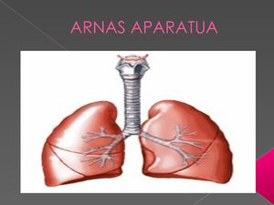 Arnas Aparatua N
