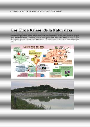 Estanca De El Gancho En Ejea De Los Caballeros Patrimonio Natural En La Provincia De Zaragoza