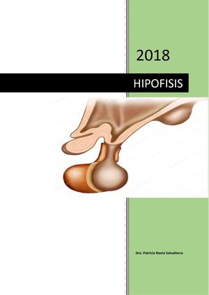 Hormonas Hipofisiarias Texto