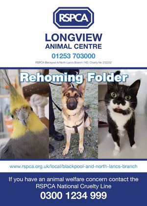 Rspca Bpool Ebrochure