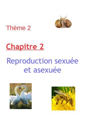 T2c2 Reproduction 4è