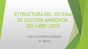 Estructura Del Sistema De Gestión Ambiental