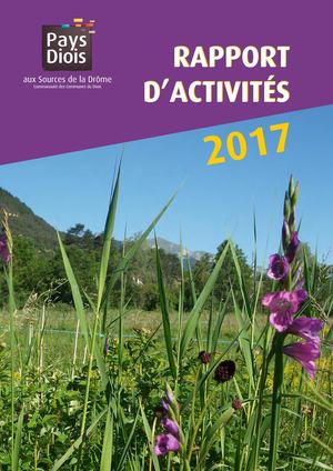 Rapport d'Activités 2017