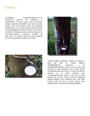 Caucho