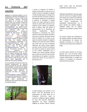 La Historia Del Caucho L Ara