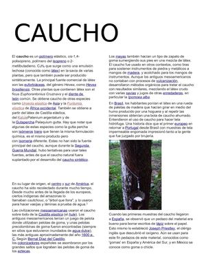 LA HISTORIA DEL CAUCHO